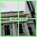 Sneaky Pats – Sneaky Pats